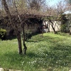Sistemazione Giardino Lissone
