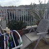 Manutenzione Giardino