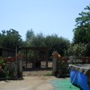 Muro di cemento armato