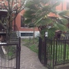 Progetto piccolo giardino e area bbq
