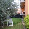Giardino da sistemare mozzecane