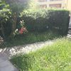 Prato sintetico