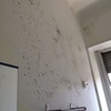Ripitturazione parete bagno