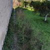 Rifacimento intonaco esterno