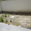 Giardino ex novo