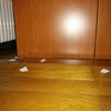 Sostituzione parquet imbarcato (0,6 m2)