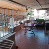 Chiusura veranda in pvc anti pioggia e vento retrattibili