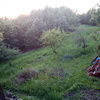 Sistemare area verde