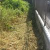 Pulire Terreno Agricolo