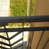 Carteggiare e verniciare ringhiera del balcone