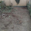 Pianeggiare piccolo giardino di appartamento