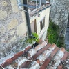 Restauro facciate casa di paese a sorano