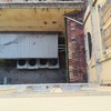 Allontanamento piccioni macerata