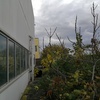 Sistemazione giardino 450mq capannone (fronte + retro)