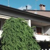 Tende da sole a bracci per 3 balconi 5500x2000mm