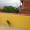 Parapetto granito per terrazza