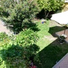 Disinfestazione