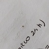 Disinfestazione da Insetti