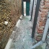 Allontanamento Piccioni