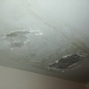 Tinteggiatura soffitto salone