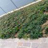 Installare Impianto Irrigazione