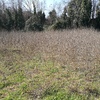 Pulire Terreno Agricolo