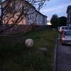 Manutenzione Giardino
