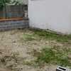 Piantare Giardino