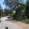 Potare O Tagliare Alberi