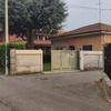 Potare O Tagliare Alberi