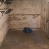 Rifacimento tetto e cantina