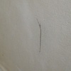 Dipingere Interno Casa