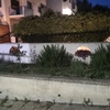 Manutenzione Giardino