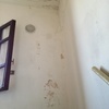 Piccola Ristrutturazione Condominio