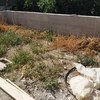 Coprire giardino di terra