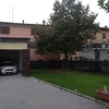 Potare O Tagliare Alberi