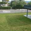 Piantare Giardino
