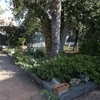 Manutenzione Giardino