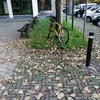 Piantare Giardino
