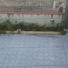 Pergole