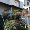 Manutenzione Giardino
