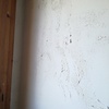 Dipingere Interno Casa