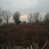 Pulire Terreno Agricolo