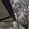 Potare O Tagliare Alberi