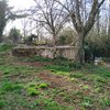 Potare O Tagliare Alberi