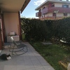 Pergole