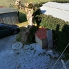 Potare O Tagliare Alberi
