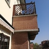 Allontanamento Piccioni