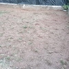 Piantare Giardino