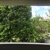 Realizzare Veranda Materiale Da Scegliere